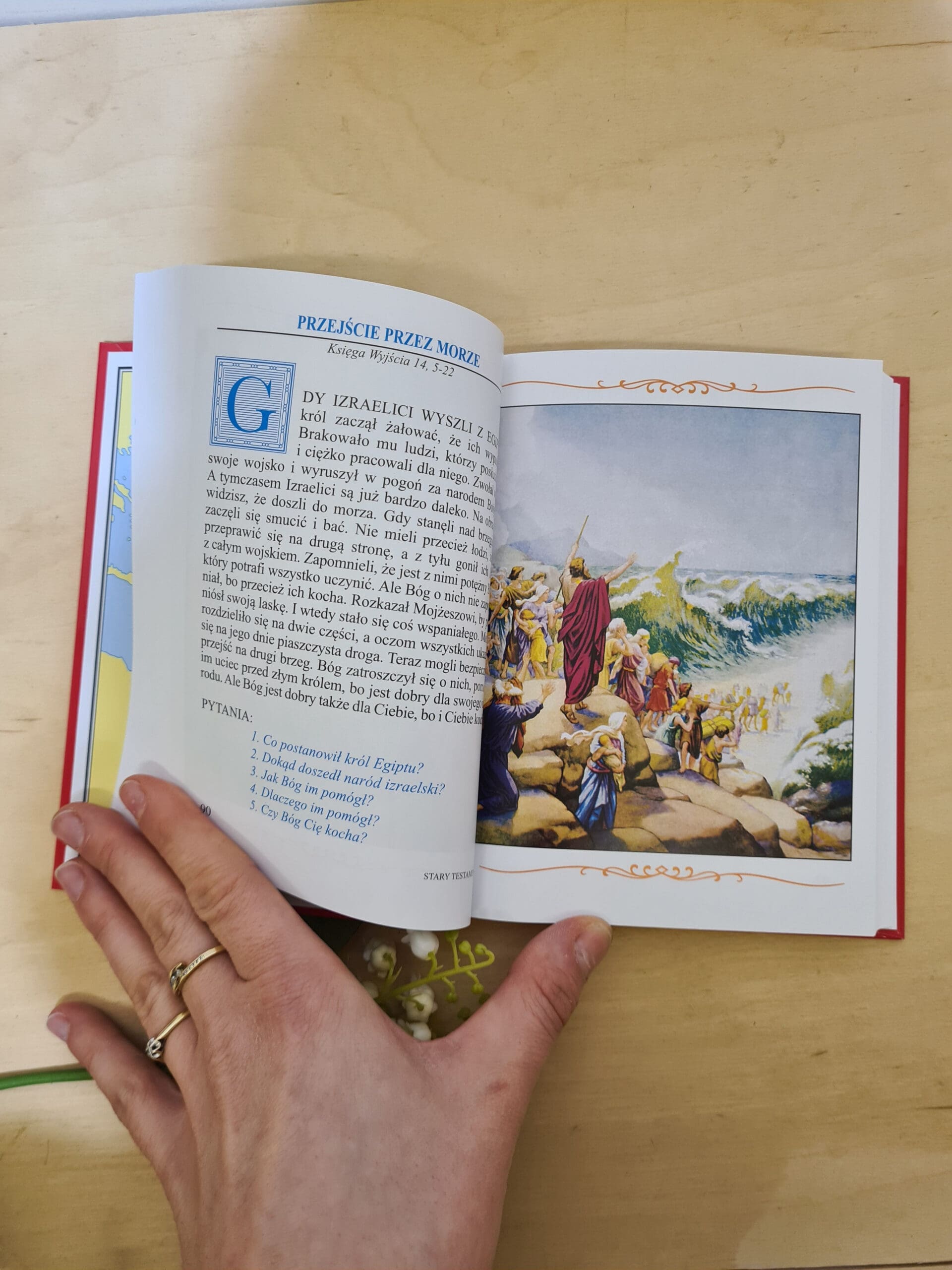 ILUSTROWANA BIBLIA Z GRAWEREM