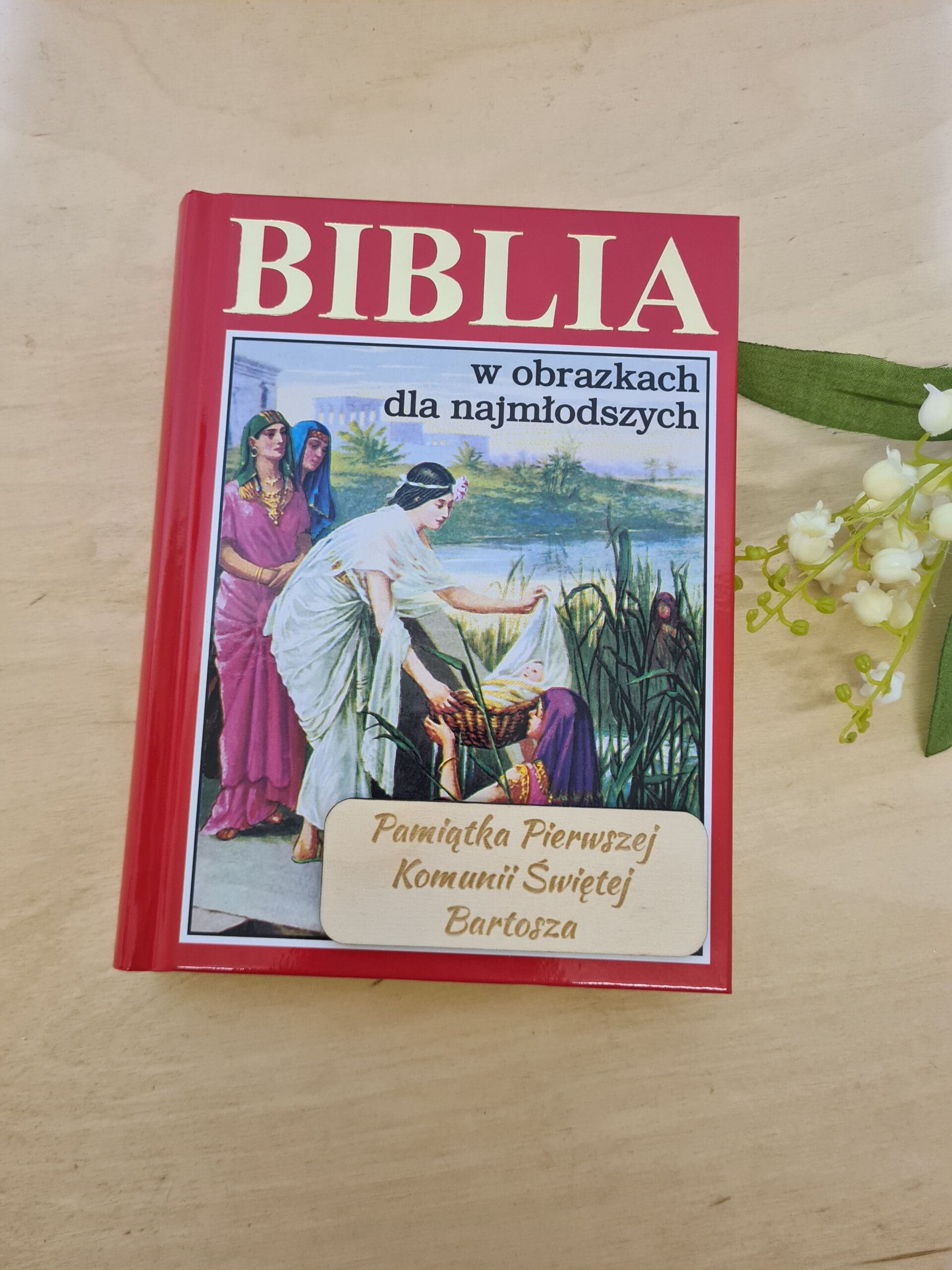 ILUSTROWANA BIBLIA Z GRAWEREM
