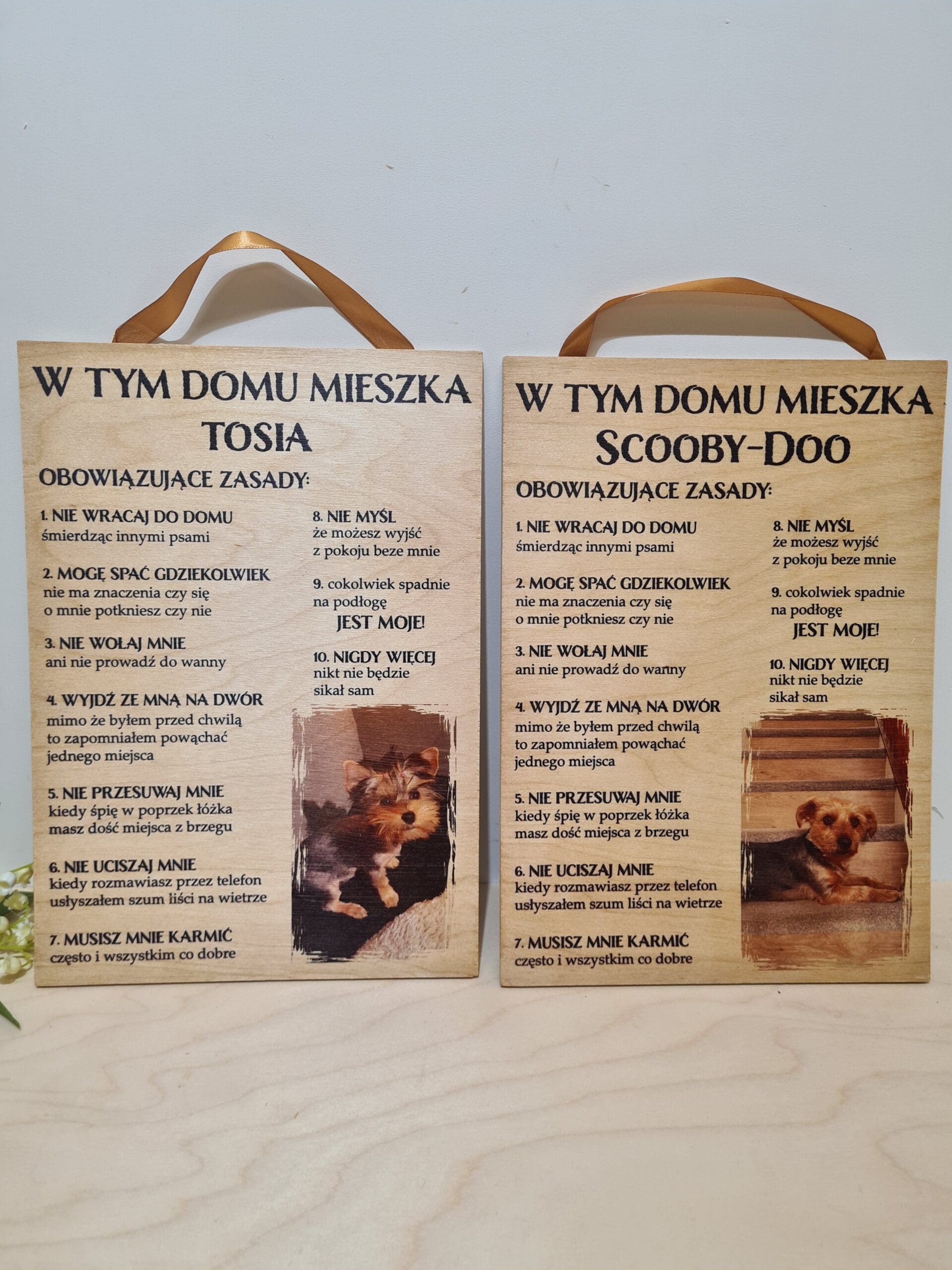 DREWNIANA TABLICZKA "W TYM DOMU MIESZKA" PIES